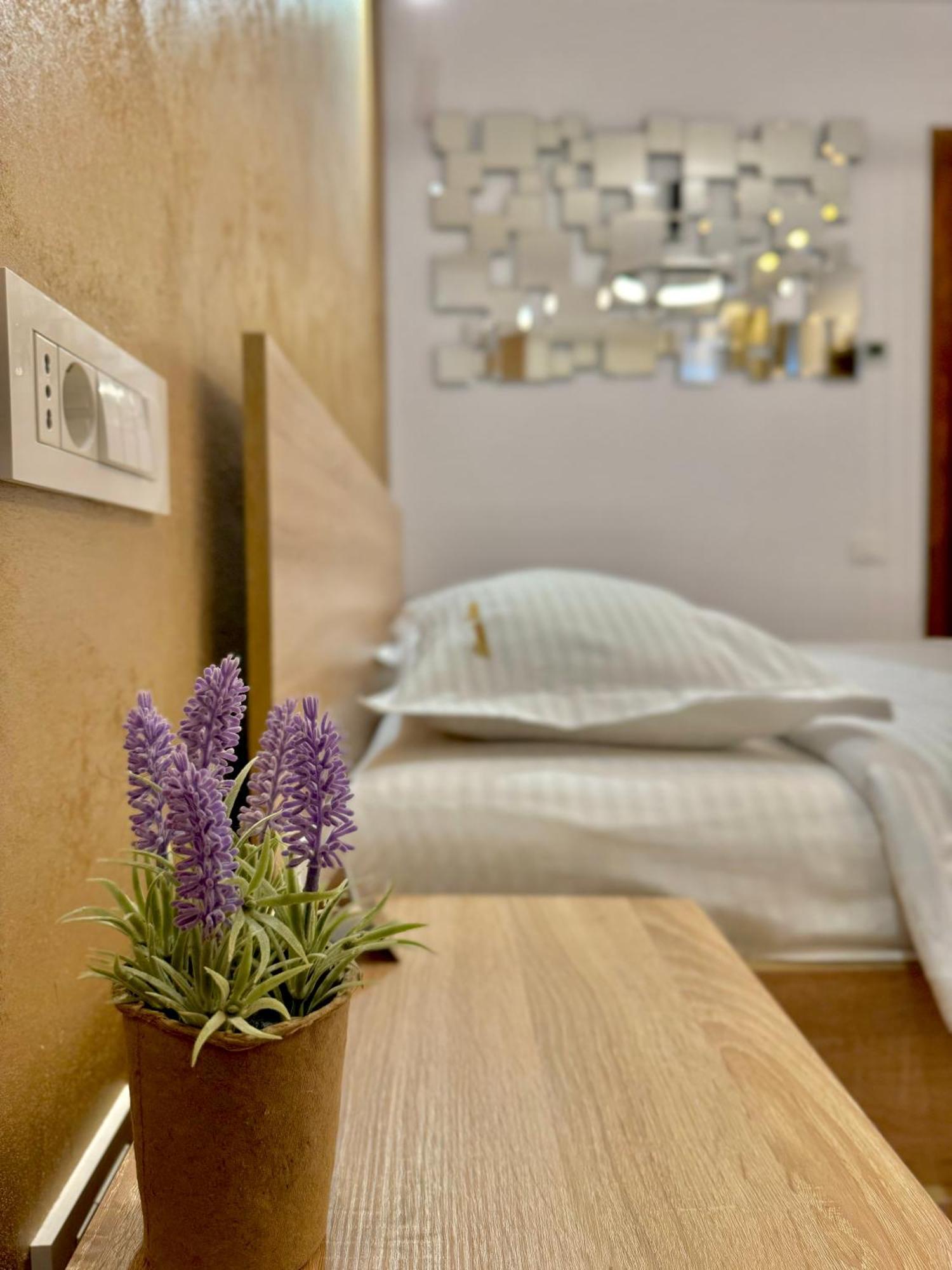 Blancris Boutique Apartment Брашов Екстериор снимка